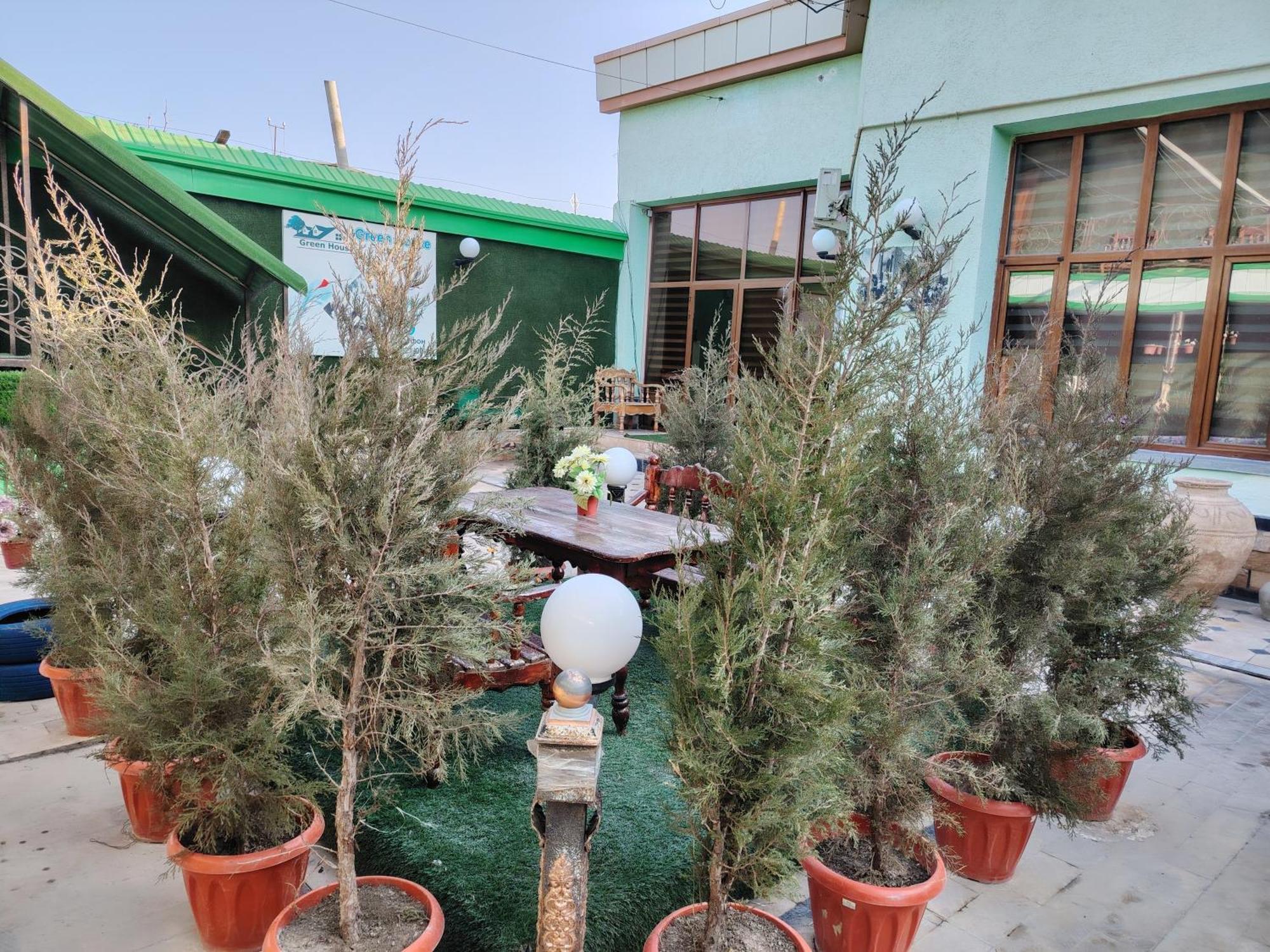 Green House Hotel & Hostel Bukhara Exterior foto